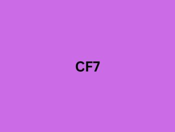 Single CF7 Product - Image 4